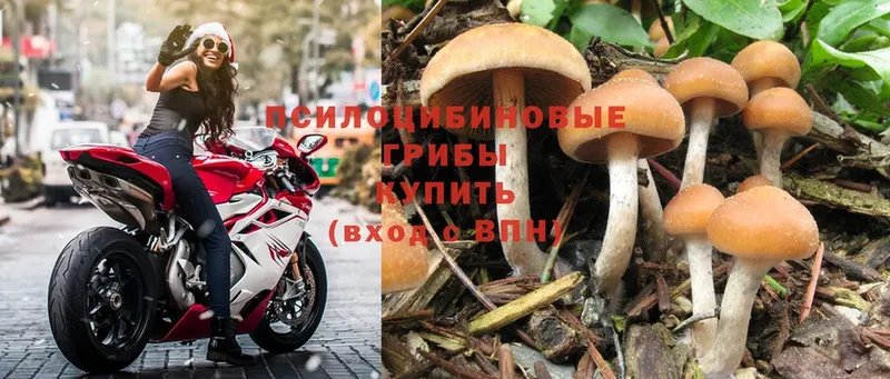 Псилоцибиновые грибы Magic Shrooms  Надым 